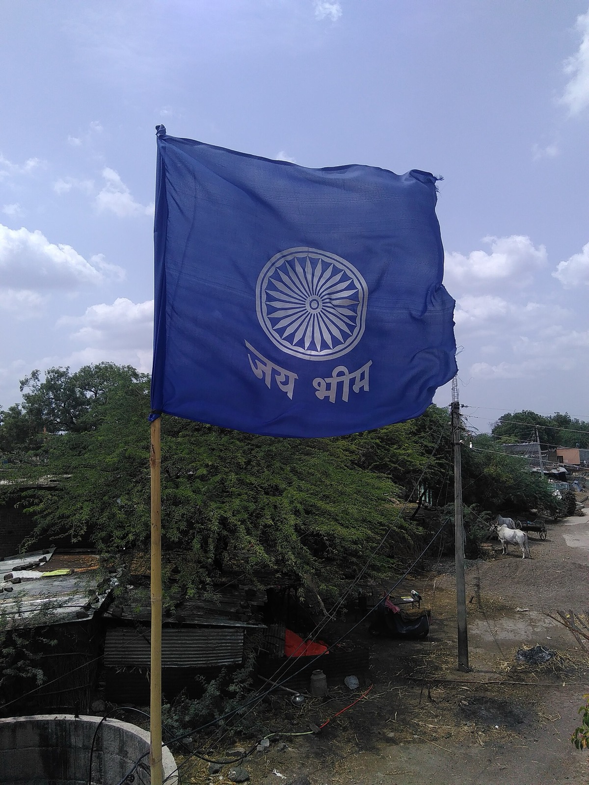 A flag used by Indian (Ambedkarite) Buddhists. Photographed in 2017.